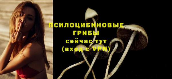синтетический гашиш Новозыбков