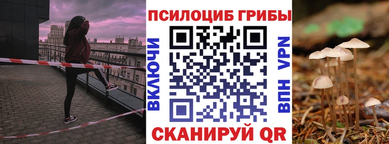 Галлюциногенные грибы прущие грибы  Купить  Льгов 